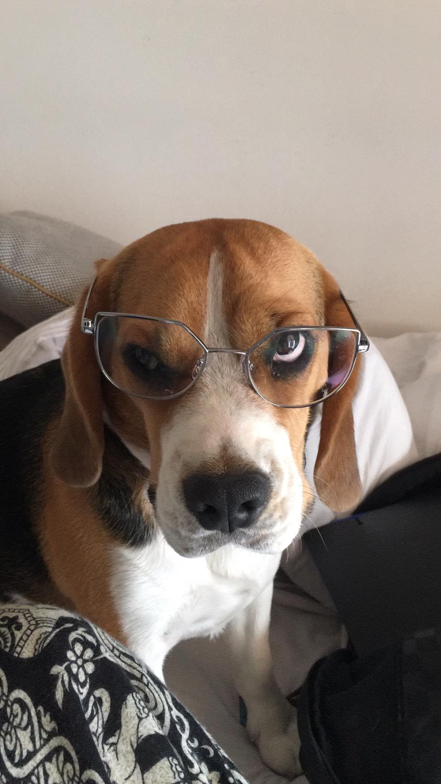 Foto 4 van Agente Cooper 