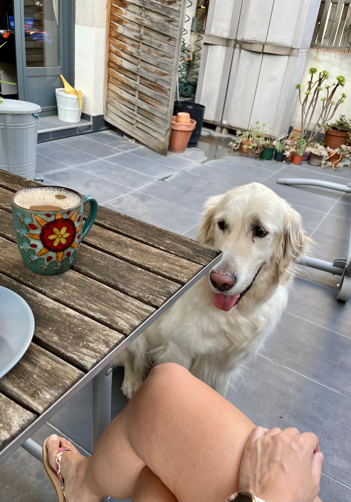Photo of Coco