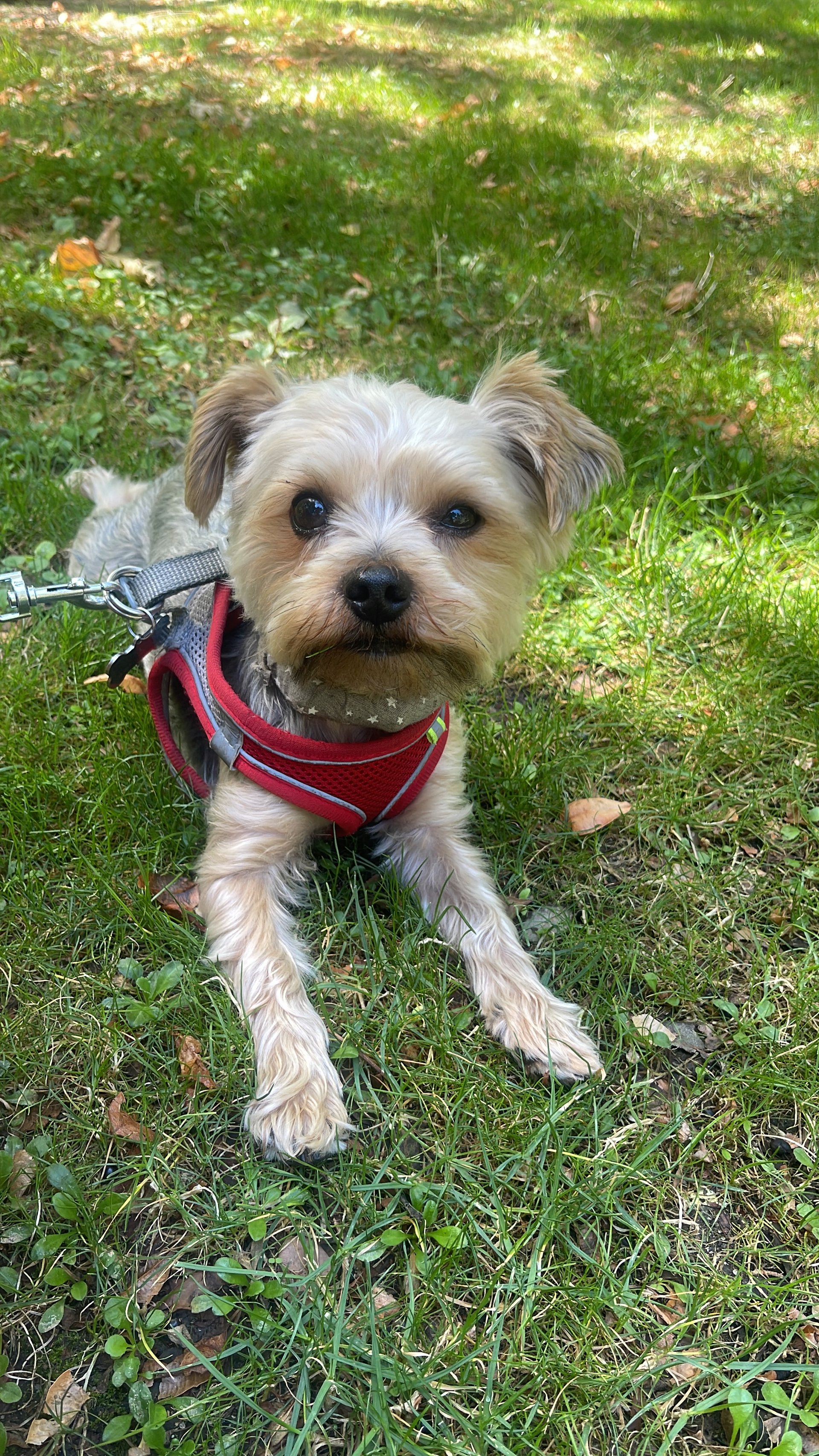 Photo of Ricky