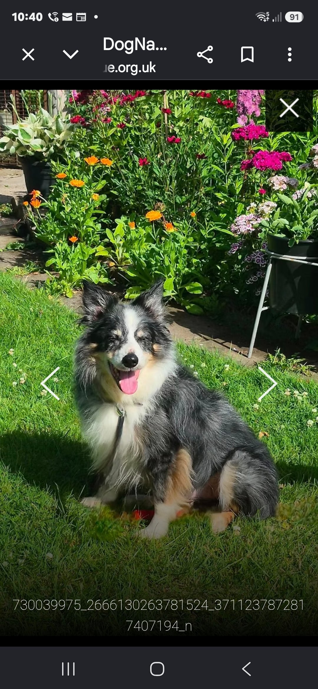 Photo of Loki