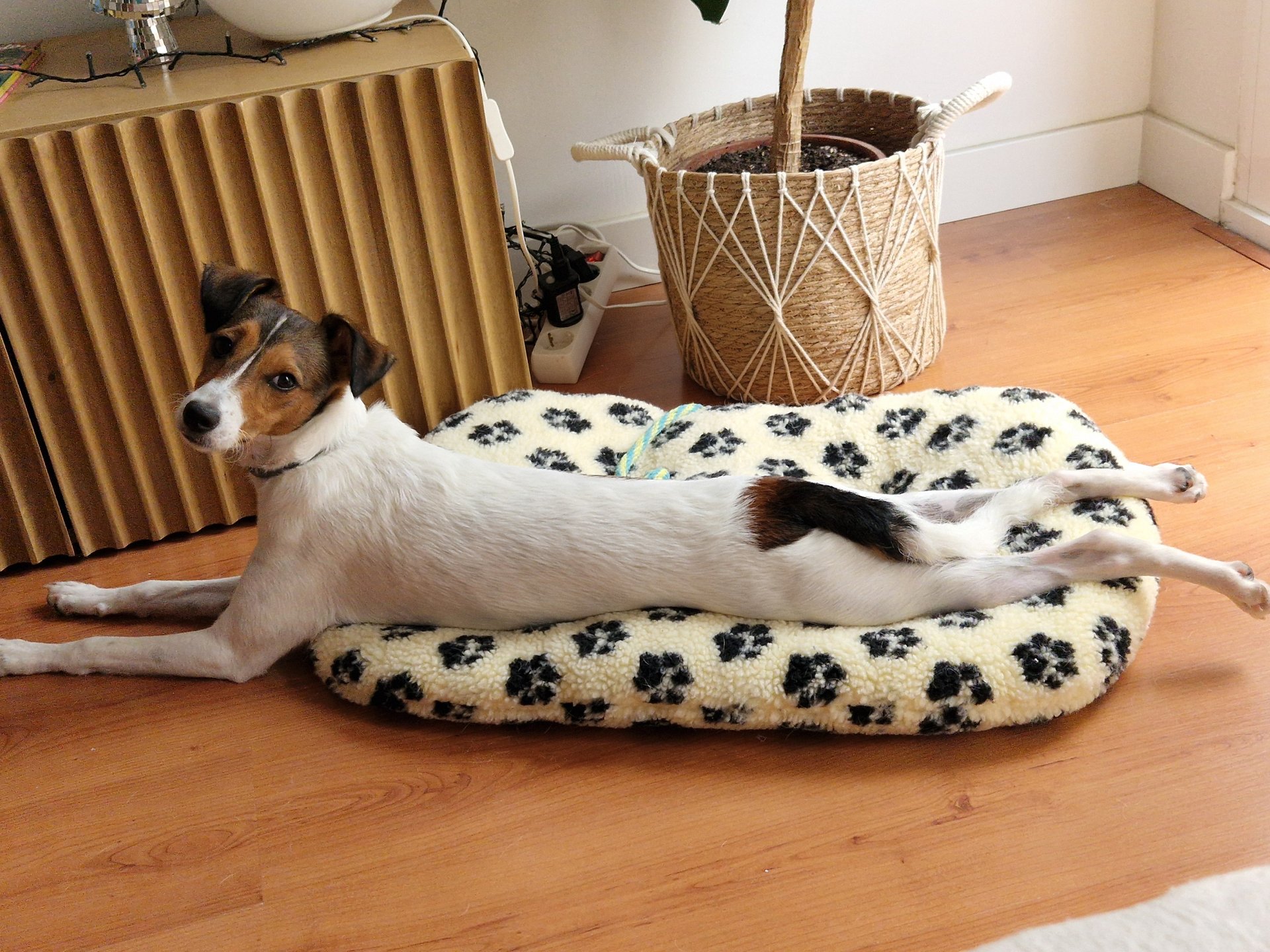 Photo of Mili
